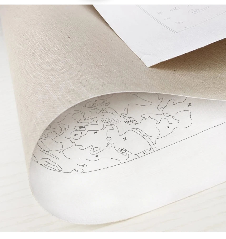 Peinture par numéro avec cadre en bois