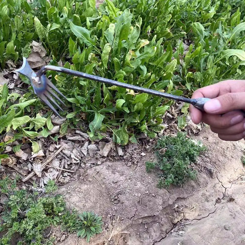 Racine-Tout - Nouvel outil de désherbage pour déraciner les mauvaises herbes