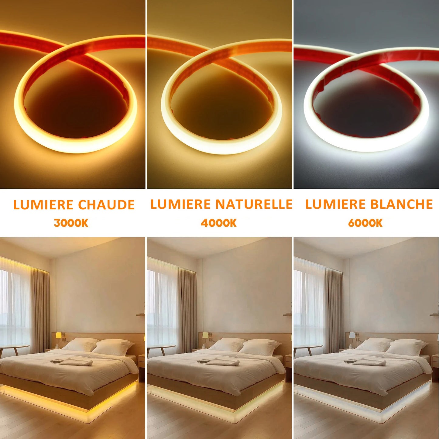 Bande lumineuse Néon LED